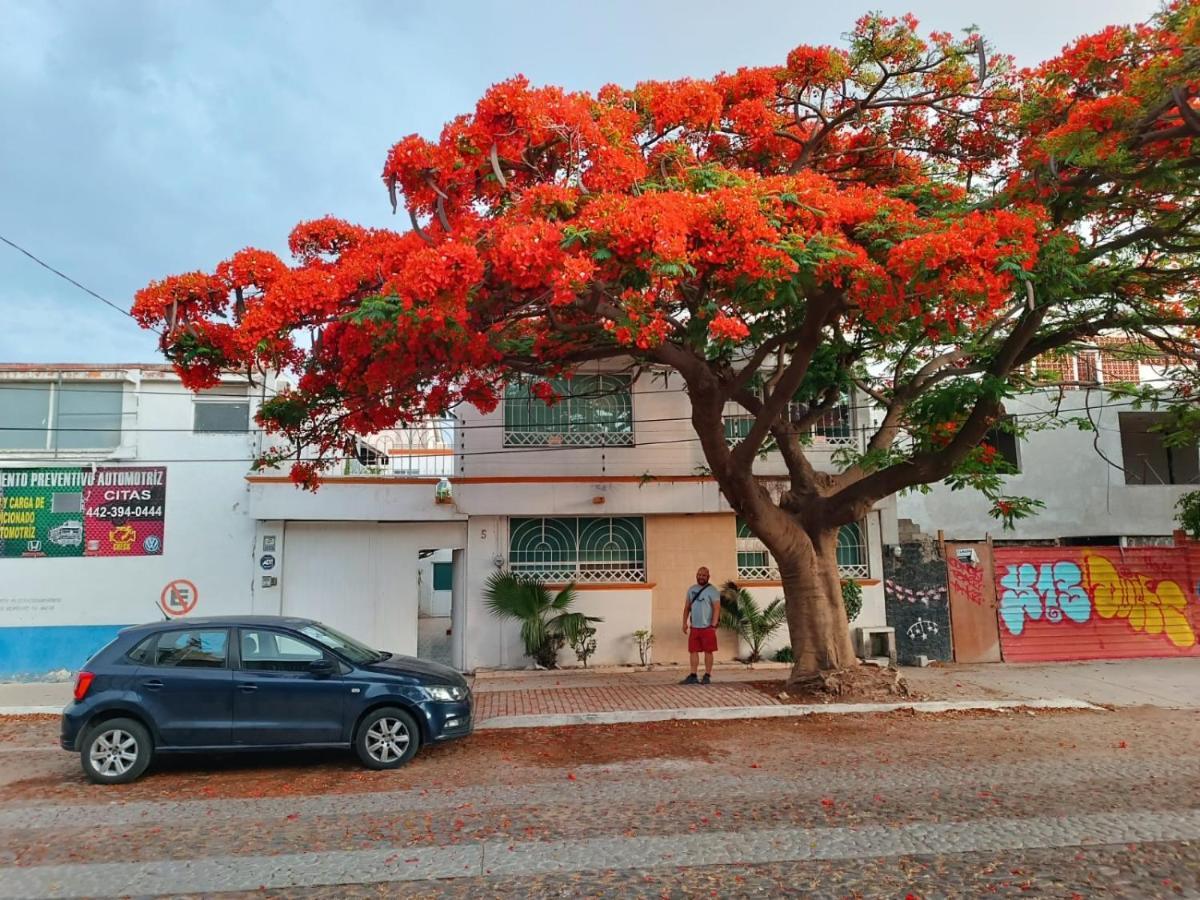 Hotel Casa Flamboyant Querétaro Zewnętrze zdjęcie